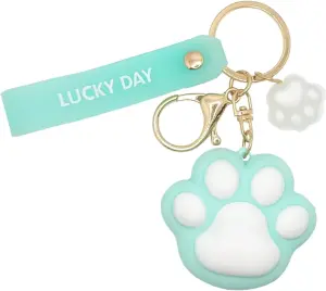 1738839774_SPEEDYUNI-Chaveiro-de-pata-de-gato-chaveiro-de-gato-de